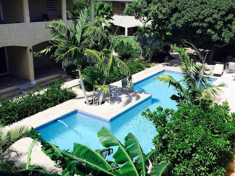 Apartament Caribbean Happyness Willemstad Zewnętrze zdjęcie