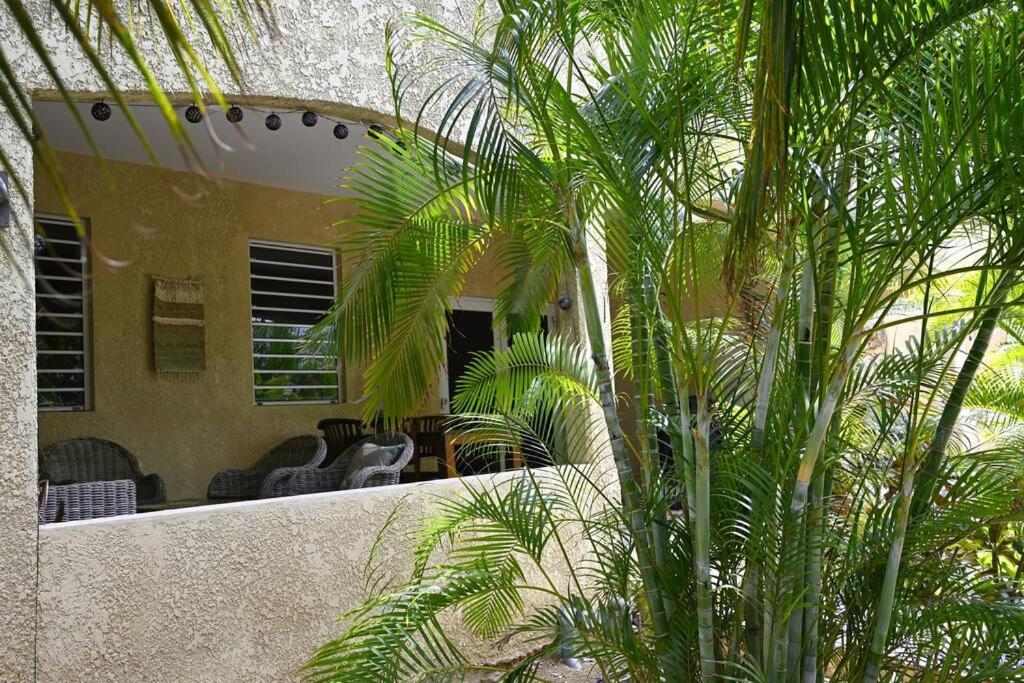 Apartament Caribbean Happyness Willemstad Zewnętrze zdjęcie